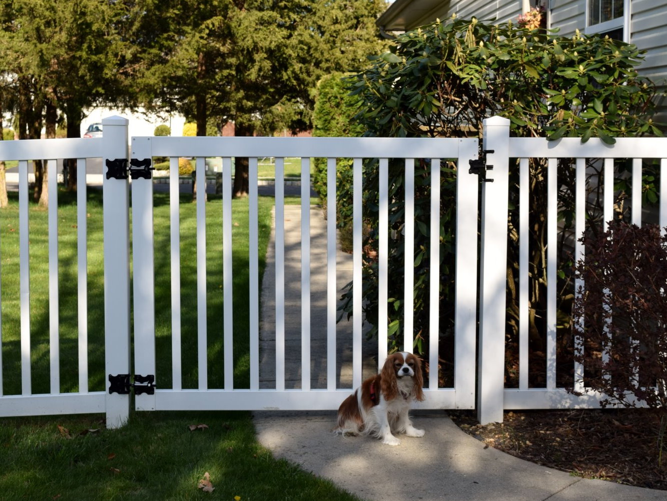 Red Lick Texas residential and commercial fencing